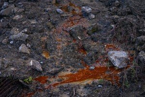 Discarica Macchia Soprana-Foto di Michele Amoruso