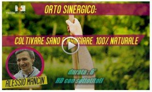 orto_sinergico