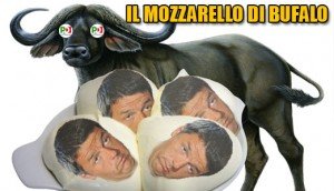 mozzarellodibufalo